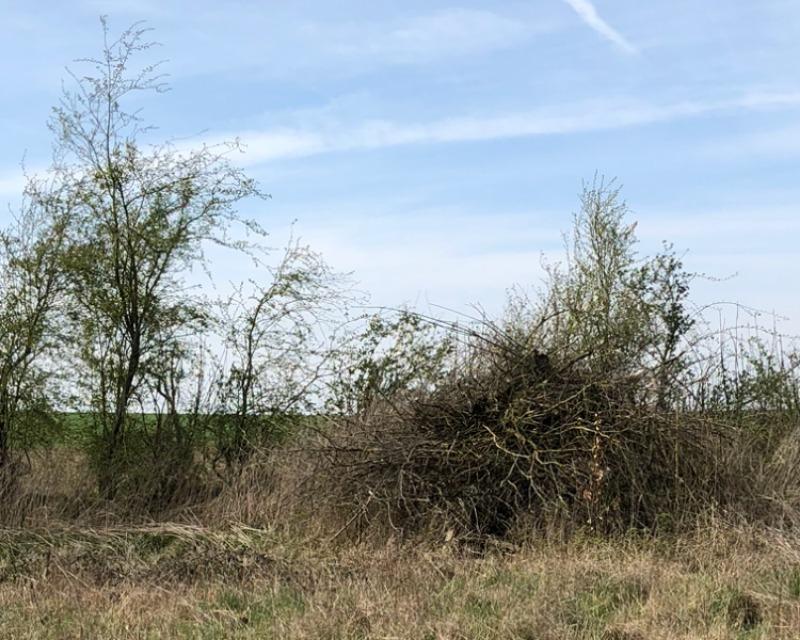 Accueil de la faune